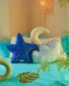 Night Sky Cushion Set